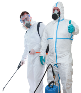 Blatox csótányirtás reputation management